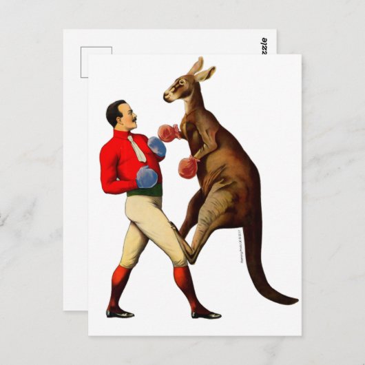 ヴィンテージカンガルーボクサーボクシングスポーツ ポストカード (正面/裏面)