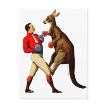 ヴィンテージカンガルーボクサーボクシングスポーツ