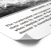 ヴィンテージカンガルーラットプリント ポスター (角)