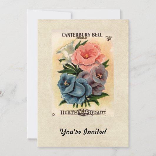 ヴィンテージカンターベリーベルフラワーシードパケット 招待状 (正面)