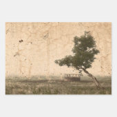 ヴィンテージカントリーツリーベージュ素朴アンティークファーム ラッピングペーパーシート (正面)