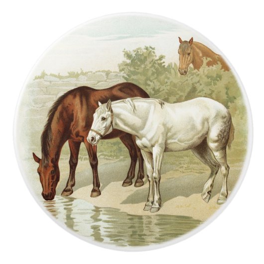 ヴィンテージカントリーファームウマ セラミックノブ (正面)