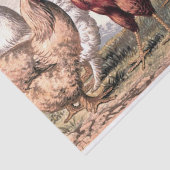 ヴィンテージカントリーロスターパーティー組織 薄葉紙 (詳細)