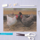 ヴィンテージカントリー納屋周囲の庭チキン 薄葉紙 (クラフト)