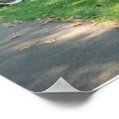 ヴィンテージカーグループ – カラーポスター ポスター (角)