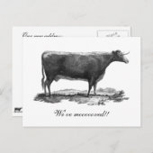 ヴィンテージカードの変更 案内ポストカード (正面/裏面)