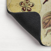 ヴィンテージカードマウスパッド マウスパッド (コーナー)