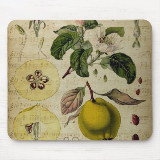 ヴィンテージカードマウスパッド マウスパッド (正面)