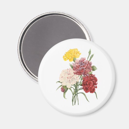 ヴィンテージカーネーションディアンツスガーデンフラワーズリドゥート マグネット (正面/裏面)