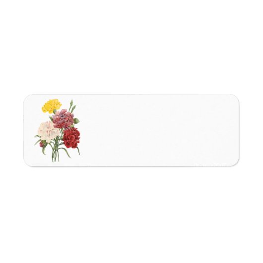 ヴィンテージカーネーションディアンツスガーデンフラワーズリドゥート ラベル (正面)