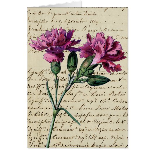 ヴィンテージカーネーション (正面)