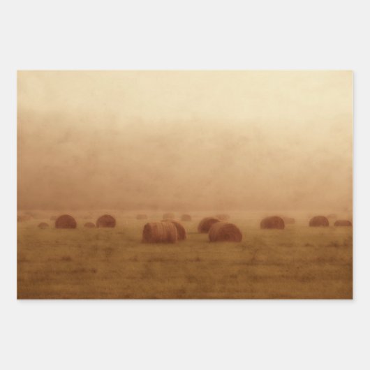 ヴィンテージカ素朴ントリーファームハイベール ラッピングペーパーシート (正面3)