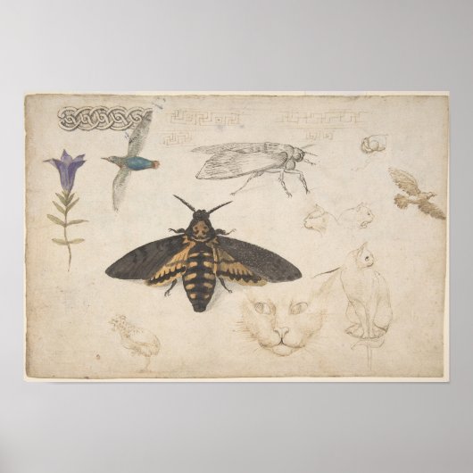 ヴィンテージガイラストレーションポスター ポスター (正面)