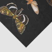 ヴィンテージガパーソナライズされたチョウ 薄葉紙 (詳細)