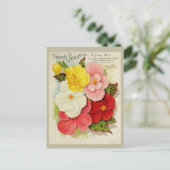 ヴィンテージガーデニングベゴニアフラワーシーズカタログ ポストカード (スタンド正面)