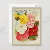 ヴィンテージガーデニングベゴニアフラワーシーズカタログ ポストカード (正面/裏面)