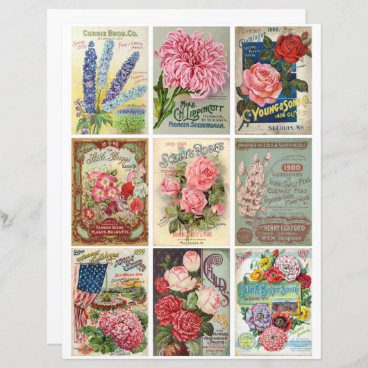 ヴィンテージガーデンとフラワーシーズエフエメラクリップアート (正面/裏面)