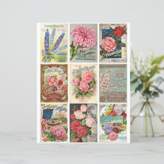 ヴィンテージガーデンとフラワーシーズエフエメラクリップアート (スタンド正面)