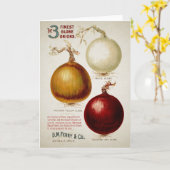 ヴィンテージガーデンカタログ – 玉ねぎ カード (黄色い花)