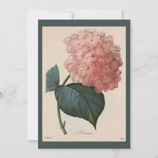 ヴィンテージガーデンフラワーピンクアジサイ (正面)