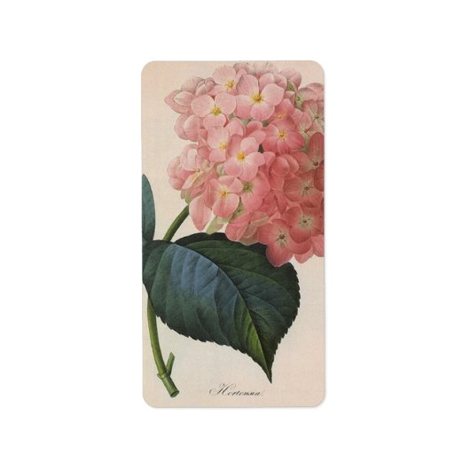 ヴィンテージガーデンフラワーピンクアジサイ ラベル (正面)