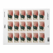 ヴィンテージガーデンフラワーピンクアジサイ ラベル (フルシート)