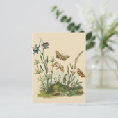 ヴィンテージガーデン虫、蝶、毛虫 ポストカード (スタンド正面)