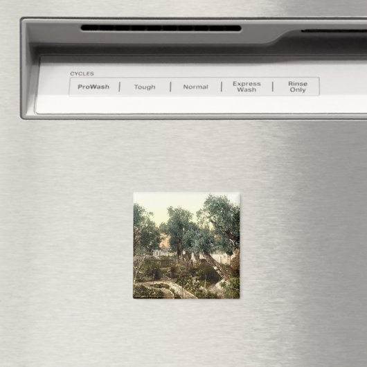 ヴィンテージガーデン・オブ・ゲツセマネ・エルサレム・イスラエル1890 マグネット (インサイチュ (食洗機))