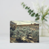 ヴィンテージガーデン・オブ・ゲツセマネ・エルサレム・イスラエル ポストカード (スタンド正面)