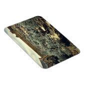 ヴィンテージガーデン・オブ・ゲツセマネ・エルサレム・イスラエル マグネット (右側)