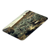 ヴィンテージガーデン・オブ・ゲツセマネ・エルサレム・イスラエル マグネット (左側)