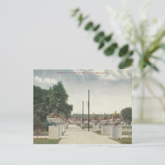 ヴィンテージガーフィールドパークシカゴイリノイ ポストカード (スタンド正面)