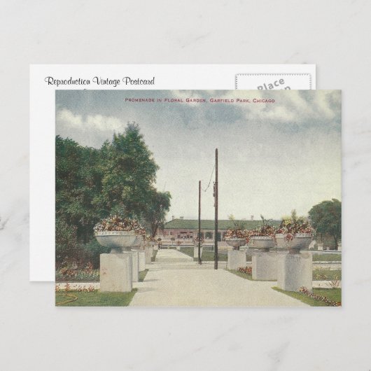 ヴィンテージガーフィールドパークシカゴイリノイ ポストカード (正面/裏面)