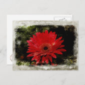 ヴィンテージガーベラデイジー ポストカード (正面/裏面)
