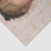 ヴィンテージガールと桃のバラデクページ 薄葉紙 (詳細)