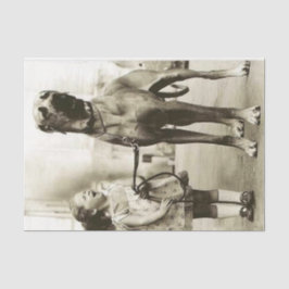 ヴィンテージガールウィズグレートダネドッグティッシュペーパー 薄葉紙