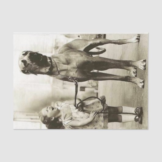 ヴィンテージガールウィズグレートダネドッグティッシュペーパー 薄葉紙 (正面)