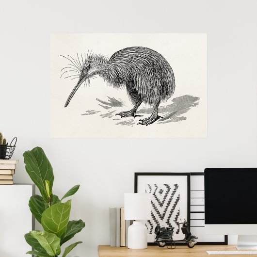 ヴィンテージキウイバードアンティークバードテンプレート ポスター (ホームオフィス)