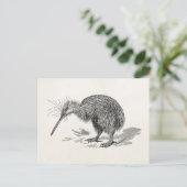 ヴィンテージキウイバードアンティークバードテンプレート ポストカード (スタンド正面)