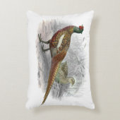 ヴィンテージキジのゲーム鳥スケッチカラー#2 アクセントクッション (正面(垂直))