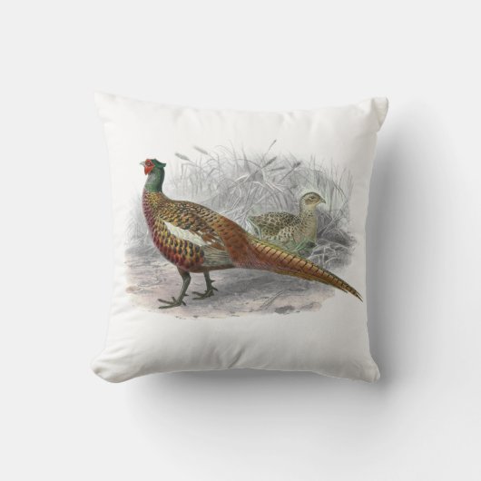ヴィンテージキジのゲーム鳥スケッチカラー#2 クッション (正面)