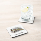 ヴィンテージキジのゲーム鳥スケッチカラー#2 コースター (右側)