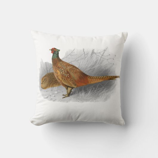 ヴィンテージキジのゲーム鳥スケッチカラー#3 クッション (正面)