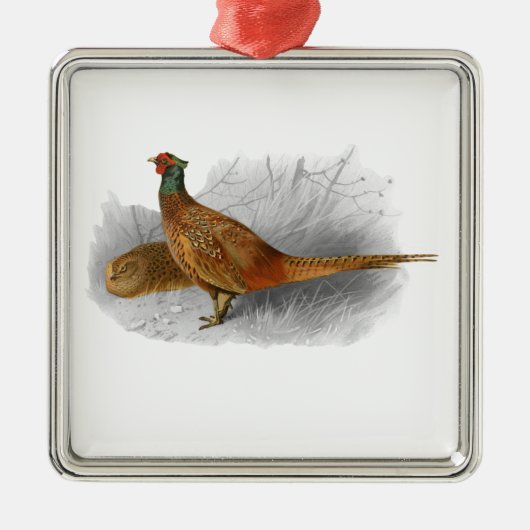 ヴィンテージキジのゲーム鳥スケッチカラー#3 メタルオーナメント (正面)