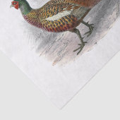 ヴィンテージキジのゲーム鳥スケッチカラー#3 薄葉紙 (詳細)