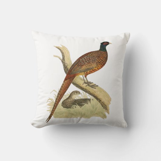 ヴィンテージキジのブランチゲーム鳥スケッチ色 クッション (正面)