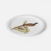 ヴィンテージキジのブランチゲーム鳥スケッチ色 ペーパープレート (アングル)