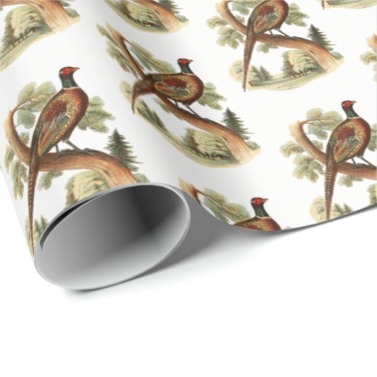 ヴィンテージキジの枝に木のスケッチ色 ラッピングペーパー (ロールコーナー)