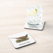 ヴィンテージキジ鳥類スケッチ色 コースター (右側)