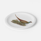 ヴィンテージキジ鳥類スケッチ色 ペーパープレート (アングル)